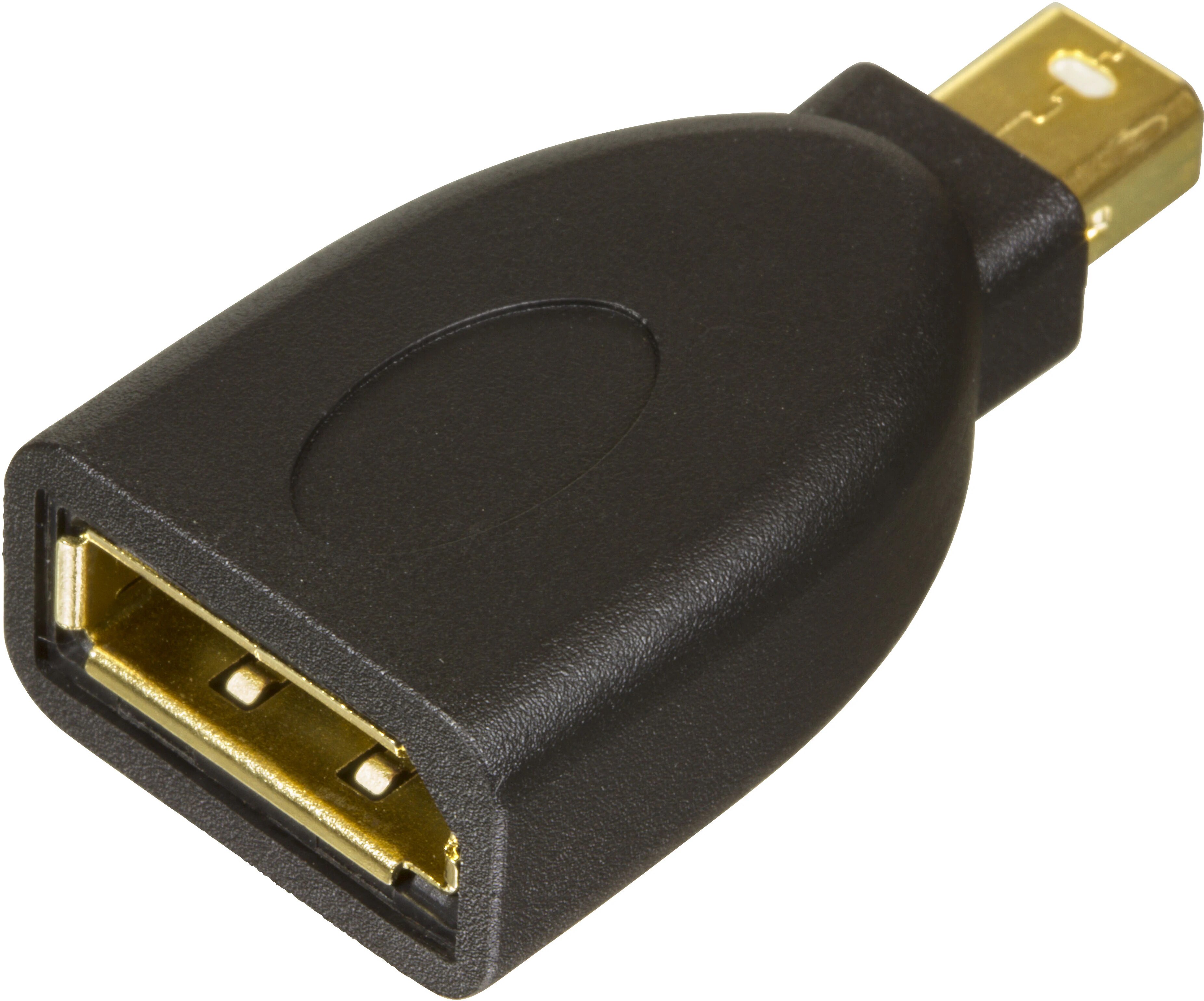 DisplayPort to Mini DisplayPort Adapter Black