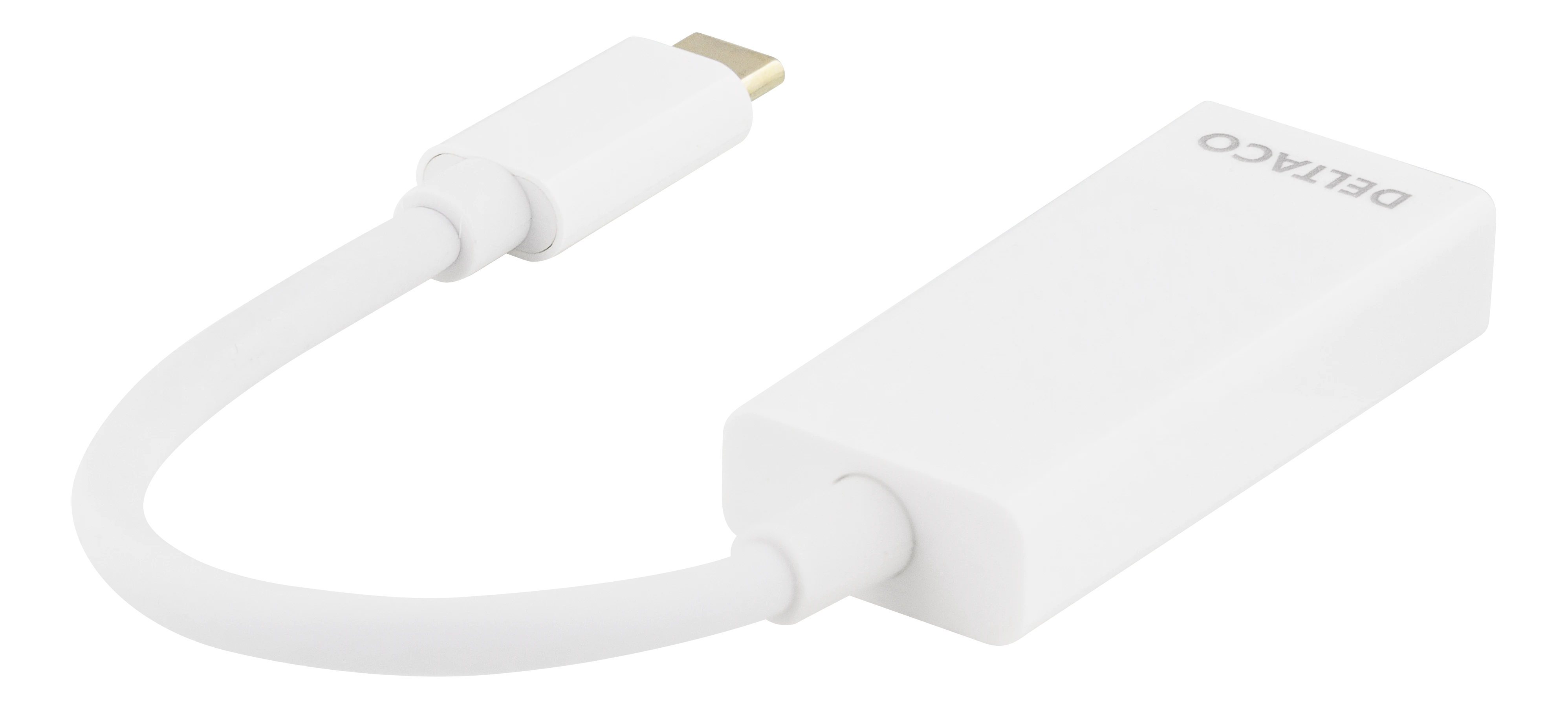 USB-C to DisplayPort Adapter White